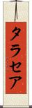 タラセア Scroll
