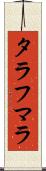 タラフマラ Scroll