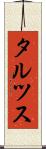 タルツス Scroll