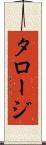 タロージ Scroll