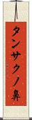 タンサクノ鼻 Scroll