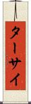 ターサイ Scroll