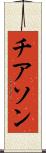 チアソン Scroll