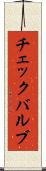 チェックバルブ Scroll