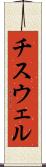 チスウェル Scroll