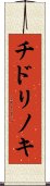 チドリノキ Scroll