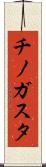 チノガスタ Scroll