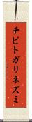 チビトガリネズミ Scroll