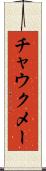 チャウクメー Scroll