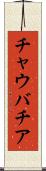 チャウバチア Scroll