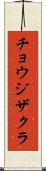 チョウジザクラ Scroll