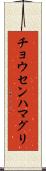 チョウセンハマグリ Scroll