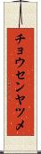 チョウセンヤツメ Scroll