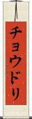 チョウドリ Scroll
