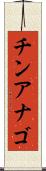 チンアナゴ Scroll
