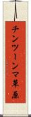 チンツーンマ草原 Scroll