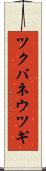 ツクバネウツギ Scroll