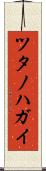 ツタノハガイ Scroll
