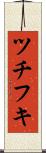 ツチフキ Scroll