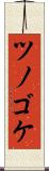 ツノゴケ Scroll