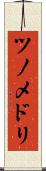 ツノメドリ Scroll