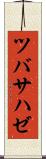 ツバサハゼ Scroll