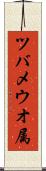 ツバメウオ属 Scroll