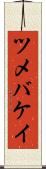 ツメバケイ Scroll