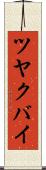 ツヤクバイ Scroll