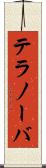 テラノーバ Scroll