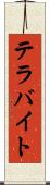 テラバイト Scroll