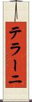 テラーニ Scroll