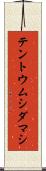 テントウムシダマシ Scroll