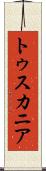 トゥスカニア Scroll
