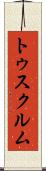 トゥスクルム Scroll