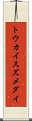 トウカイスズメダイ Scroll