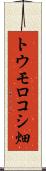 トウモロコシ畑 Scroll
