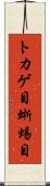 トカゲ目 Scroll