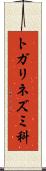 トガリネズミ科 Scroll