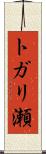 トガリ瀬 Scroll
