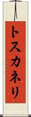 トスカネリ Scroll