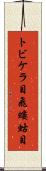 トビケラ目 Scroll