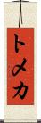 Tomeka Scroll