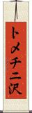 トメチニ沢 Scroll