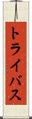 トライバス Scroll