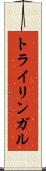 トライリンガル Scroll