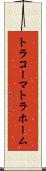 トラコーマ Scroll
