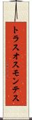 トラスオスモンテス Scroll