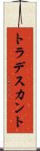トラデスカント Scroll