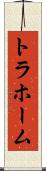 トラホーム Scroll